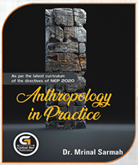 Anthropology in Practice