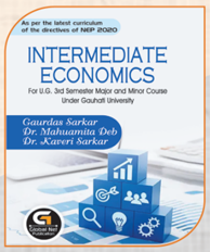 Intermediate Economics