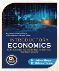 Introductory Economics