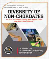 Diversity of Non-Chordates